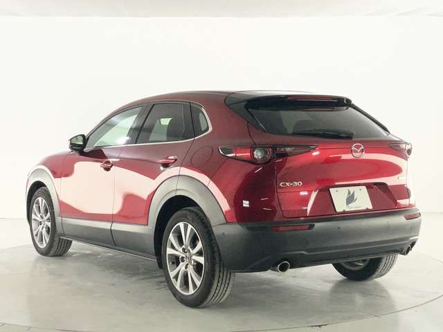 CX-30