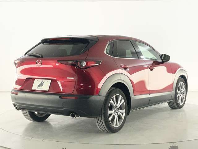 CX-30