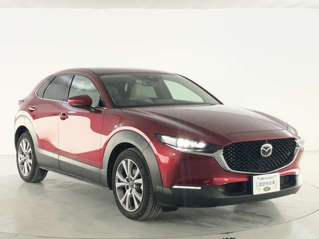 CX-30