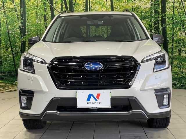 FORESTER