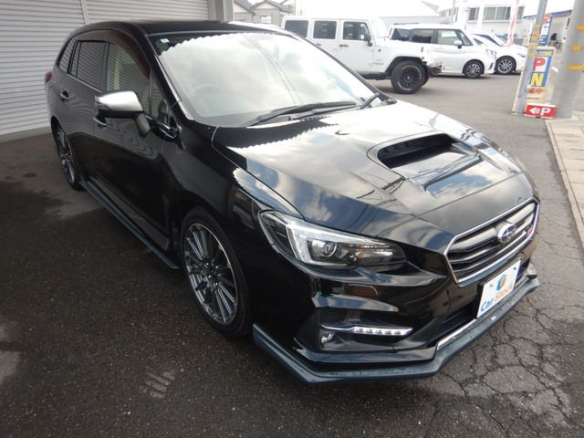 LEVORG