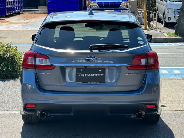 LEVORG