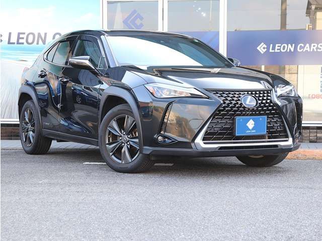 LEXUS UX250h