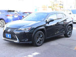 LEXUS UX250h