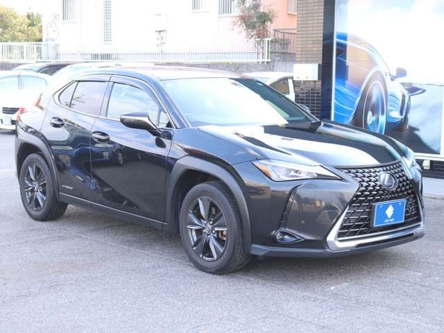 LEXUS UX250h