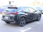 LEXUS UX250h