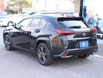 LEXUS UX250h
