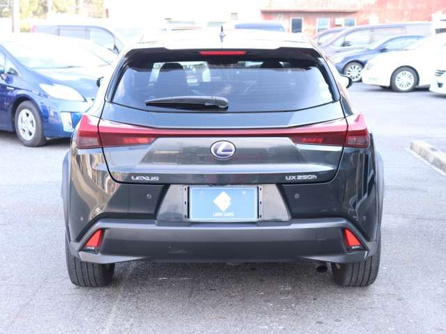 LEXUS UX250h