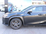 LEXUS UX250h