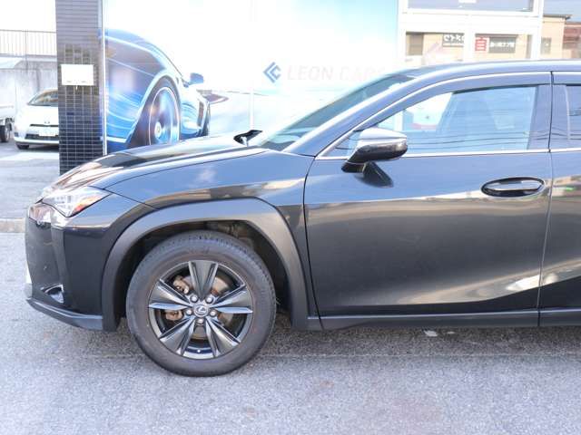 LEXUS UX250h