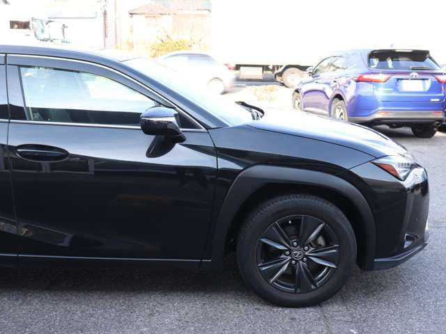 LEXUS UX250h