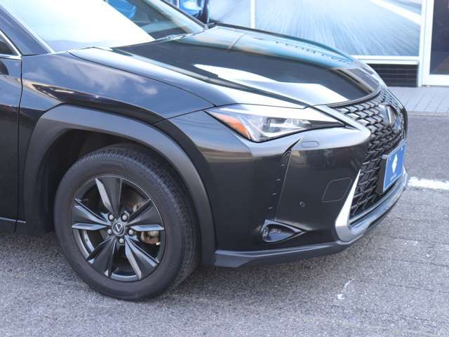 LEXUS UX250h