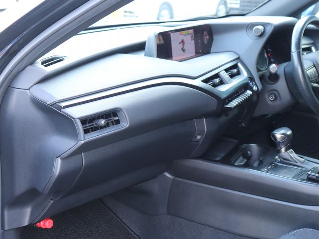 LEXUS UX250h