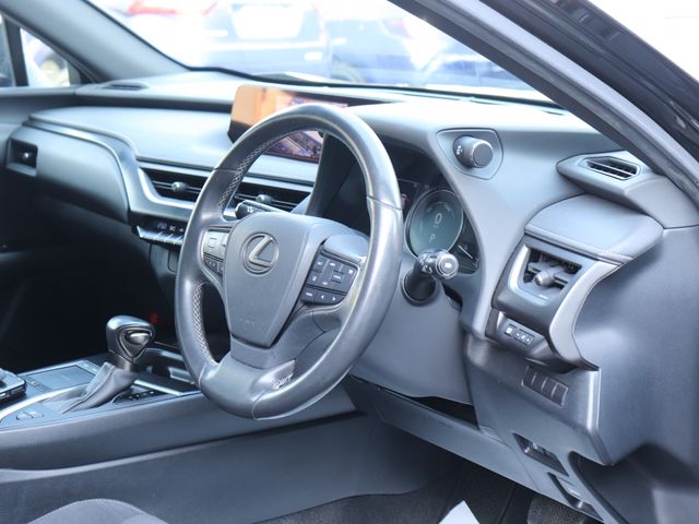 LEXUS UX250h