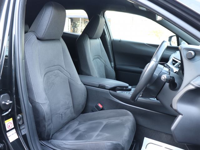 LEXUS UX250h