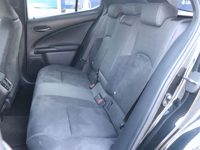 LEXUS UX250h