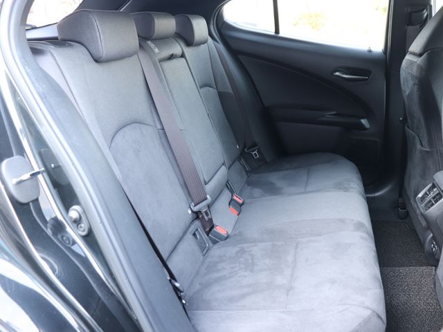 LEXUS UX250h