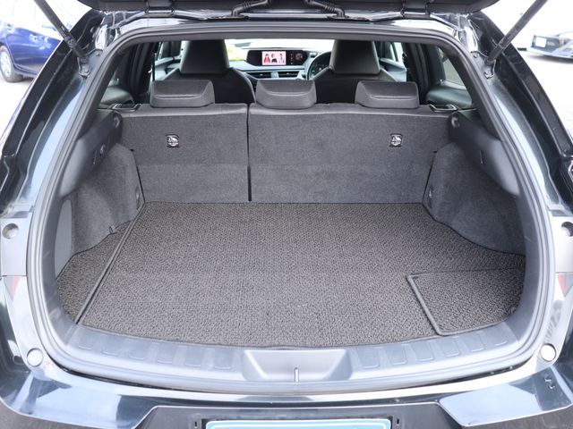 LEXUS UX250h