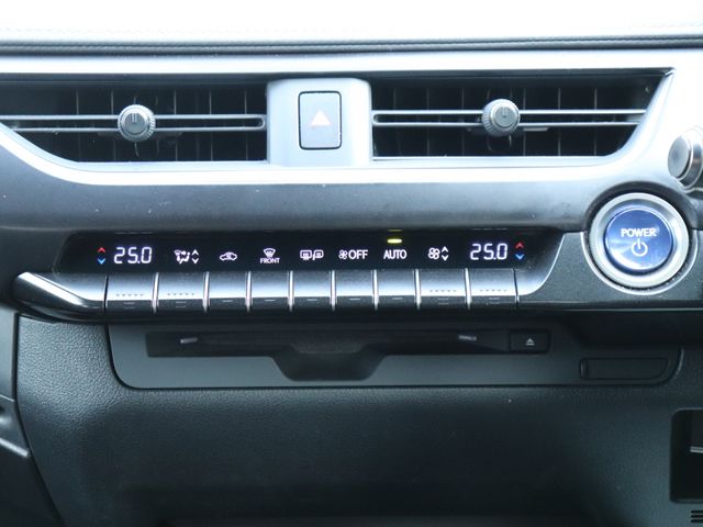 LEXUS UX250h