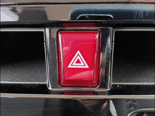 ルーミー