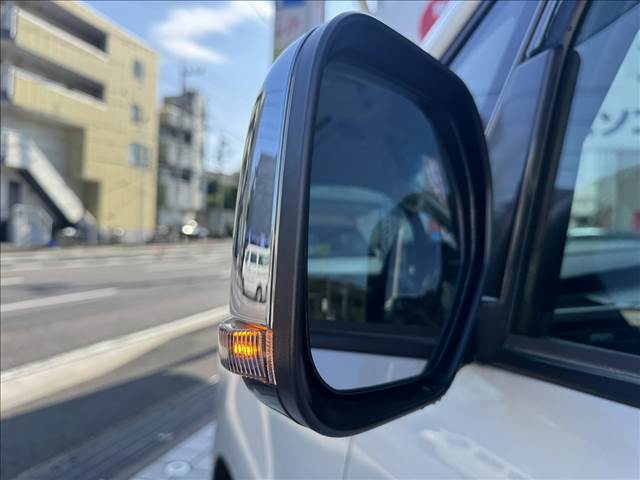 Delica D5