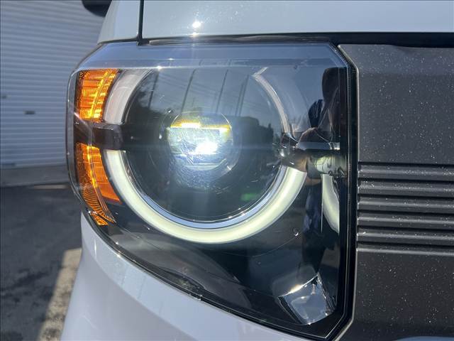 N-VAN e