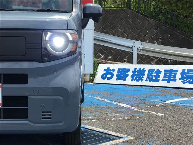 N-VAN e