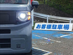 N-VAN e