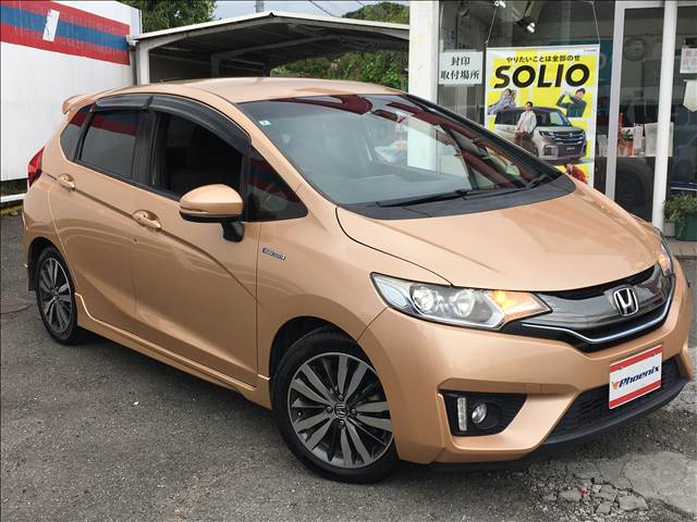 Fit Hybrid