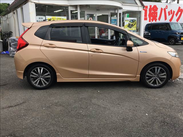 Fit Hybrid