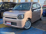 Mira Tocot