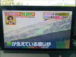 N-ONE e