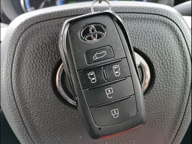 Voxy Hybrid