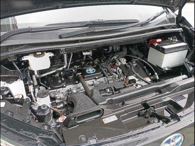 Voxy Hybrid