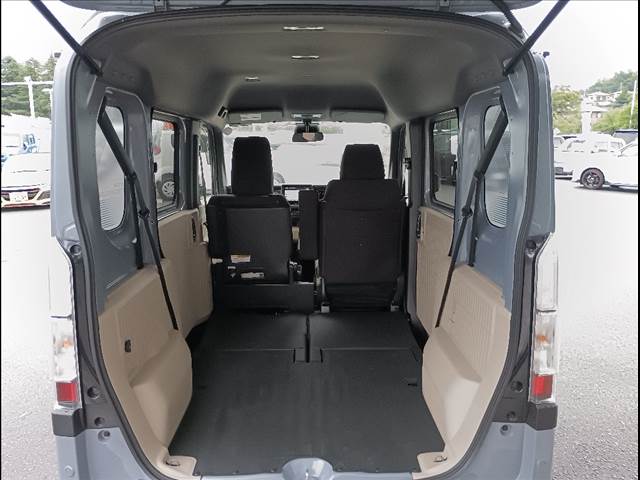 N-VAN e