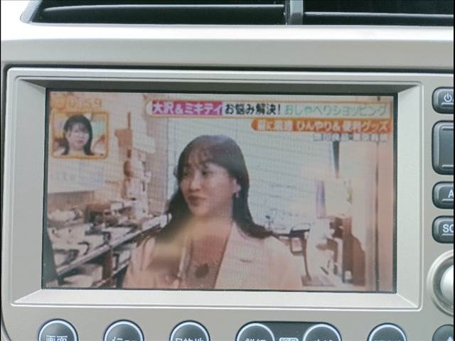 フィットハイブリッド