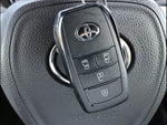 Voxy Hybrid