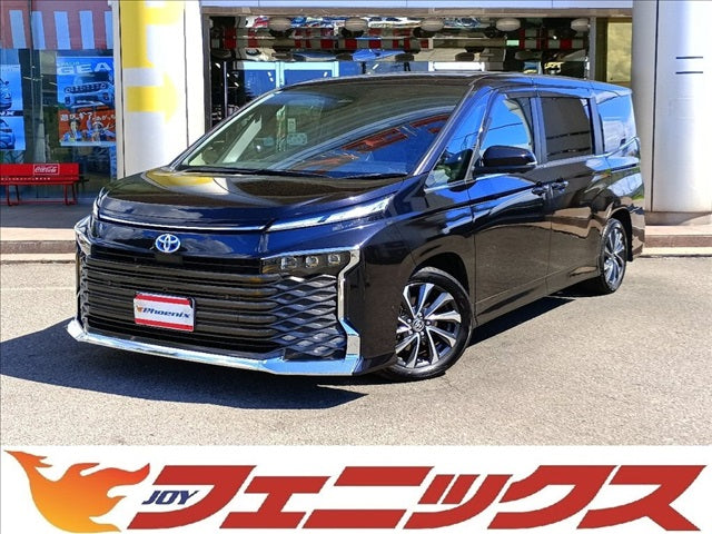 Voxy Hybrid