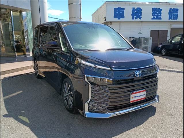 Voxy Hybrid