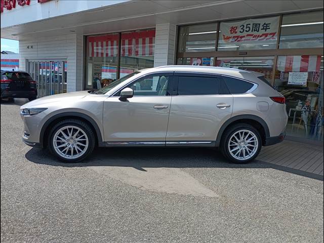 CX-8