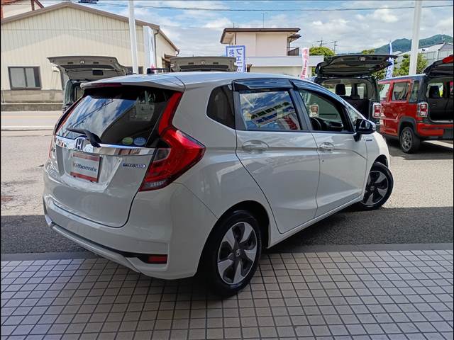 Fit Hybrid