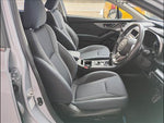 XV