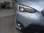 XV