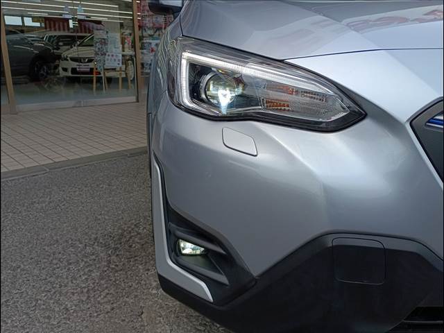 XV
