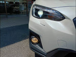 XV