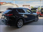 CX-60
