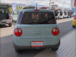 Alto Lapin