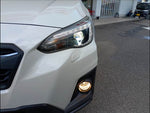 XV
