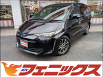 Estima Hybrid
