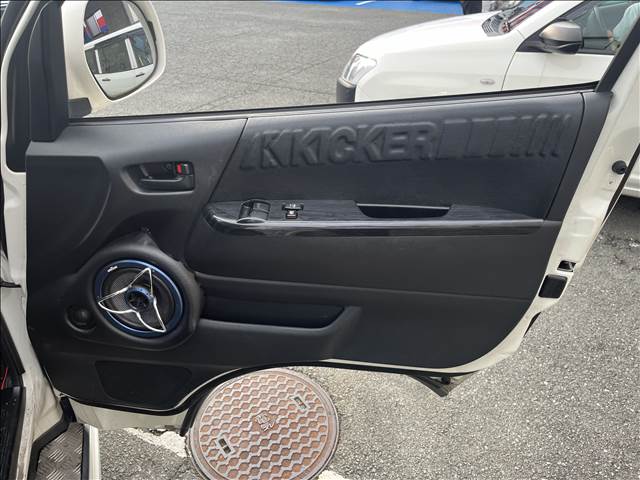 Regius Ace Van